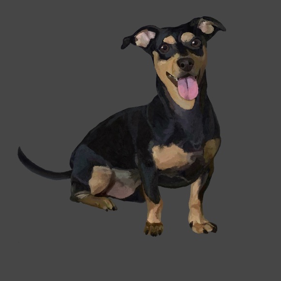 Meet your Posher, Christa - Picture 2 of 5